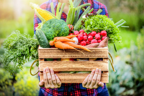 Farm-Fresh Fruits & Vegetables